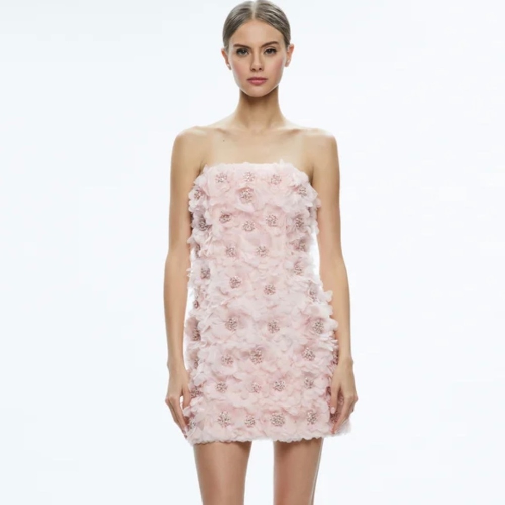 Alice and Olivia, Strapless Pink Dress with Flowers, Size 0, BRAND NEW